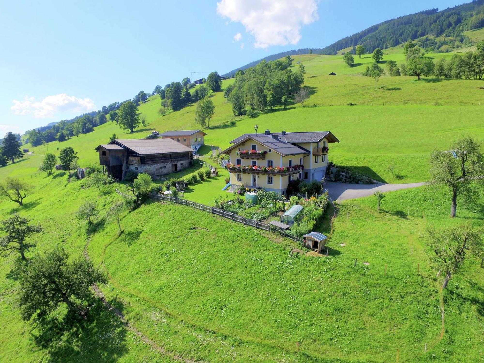 Cosy Holiday Flat In A Farmhouse Taxenbach Kültér fotó